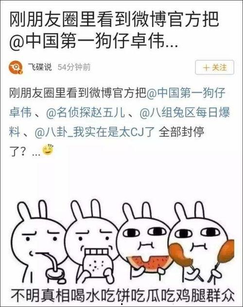 带你吃瓜搞笑大全,吃瓜搞笑大全精选集锦