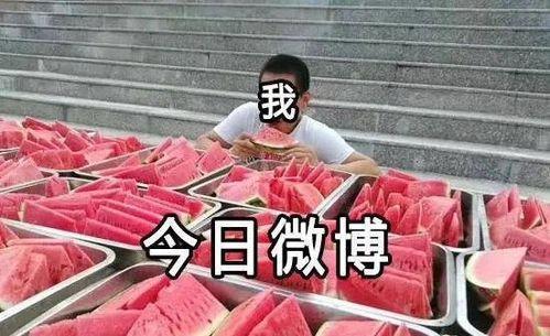 吃瓜比赛办公室,趣味横生的职场休闲时光