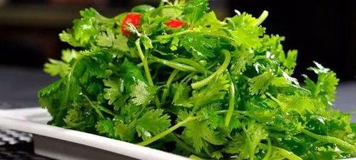 吃瓜的香菜