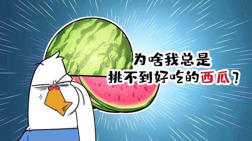 总是吃瓜对自身不好,守护身心健康