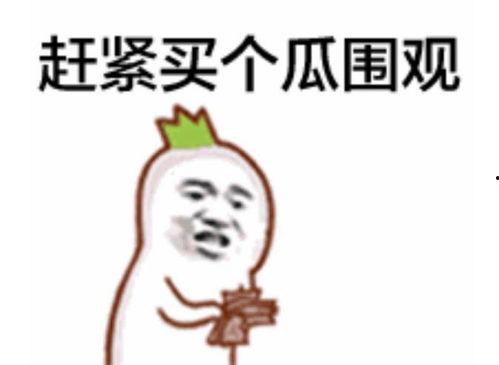 npc吃瓜表情包
