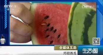 是谁吃瓜不吐籽,揭秘“吃瓜不吐籽”背后的趣味人生