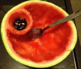 用勺子吃的瓜